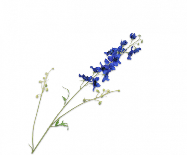 Silk-Ka Delphinium Blauw 