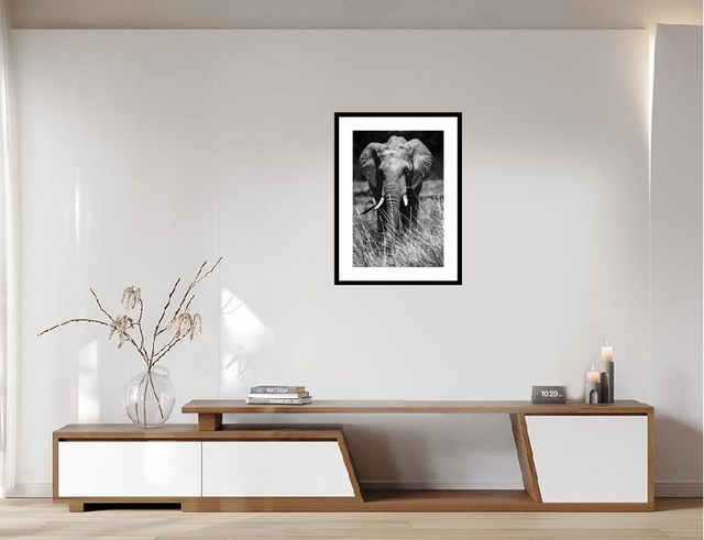 Eléphant -Masaï Mara Kenya - Réf: K-2317