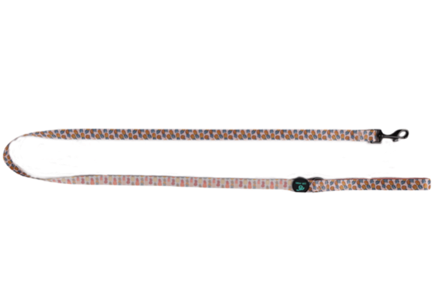 Pineapple Leash (Lupi Paws)