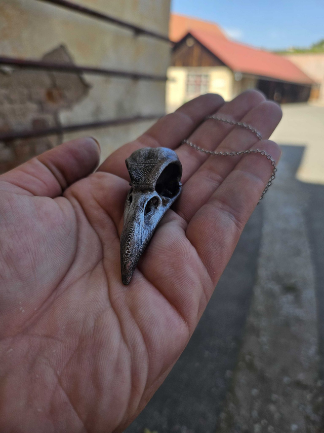 Ptačí lebka velká - stříbrná