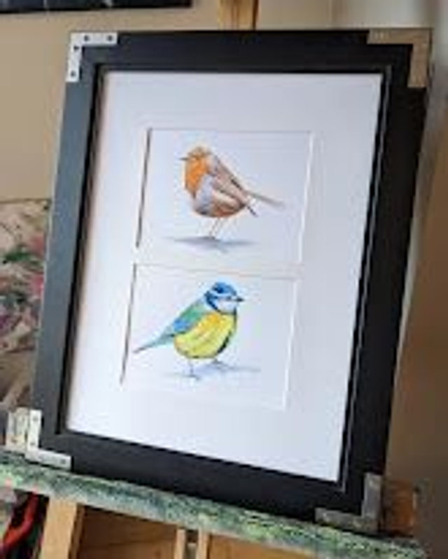 Robin and Blue Tit 