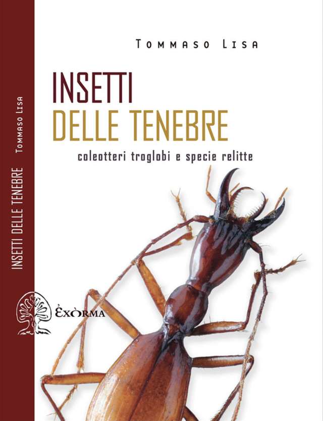 Lisa Tommaso - Insetti delle tenebre (Exorma Edizioni)