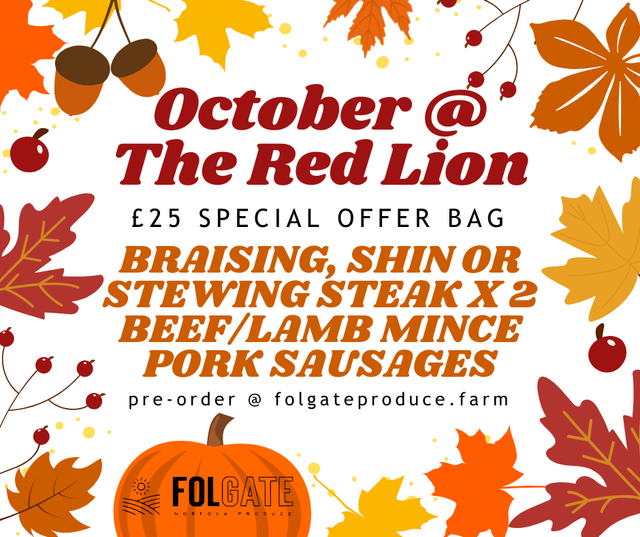 October @ The Red Lion - POPUP shop special offer