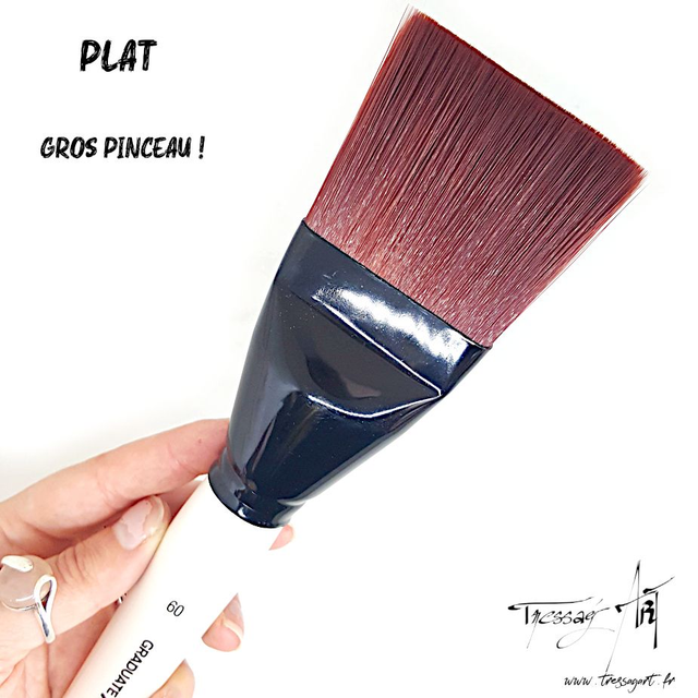 DALER ROWNEY - PINCEAU GROS UNITE - PLAT - CA109