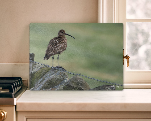 "Curlew" Glass Worktop Saver   