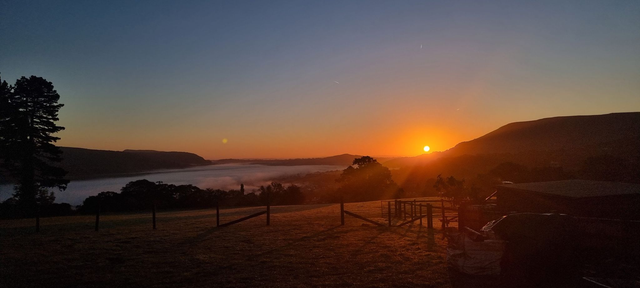 Brush Strokes &amp; Blooms -  Wednesday 20th August -Sunrise Edition - 6am -10am