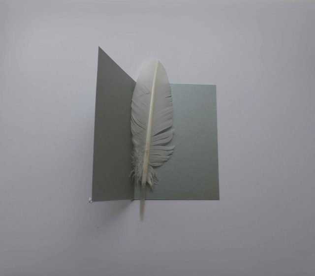 Bonnes fêtes avec le sapin de Noël