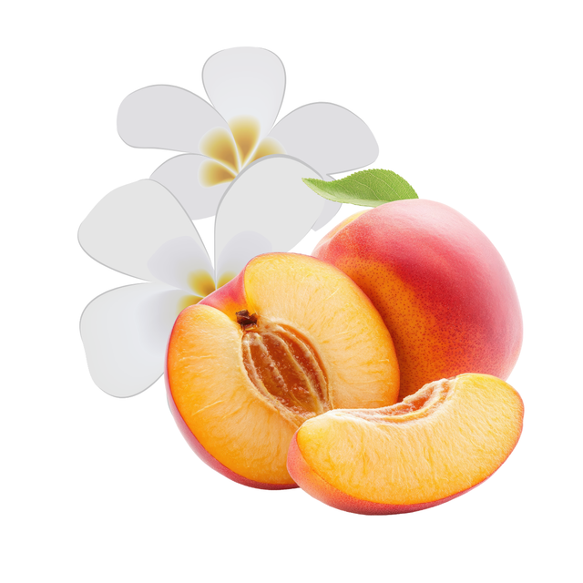 Fondant parfumé "COCOONING"