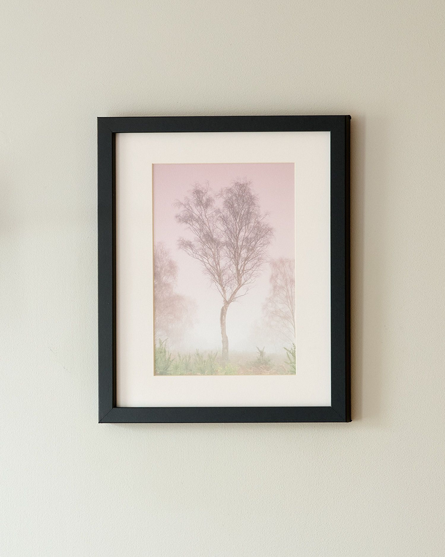 Pink Misty Tree - Framed Print 15 ¼&quot; x 12 ¼&quot;