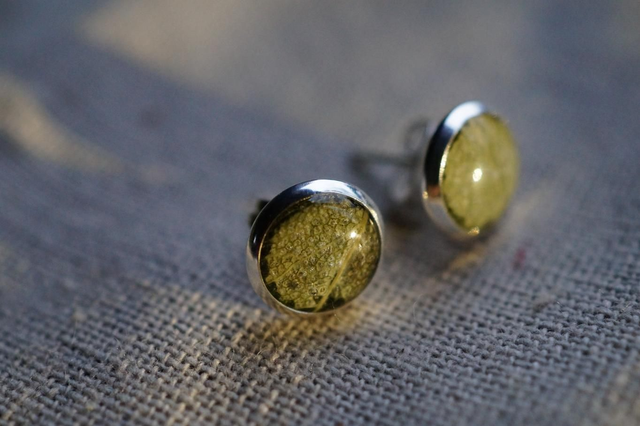 Clous d'oreilles - Sauge