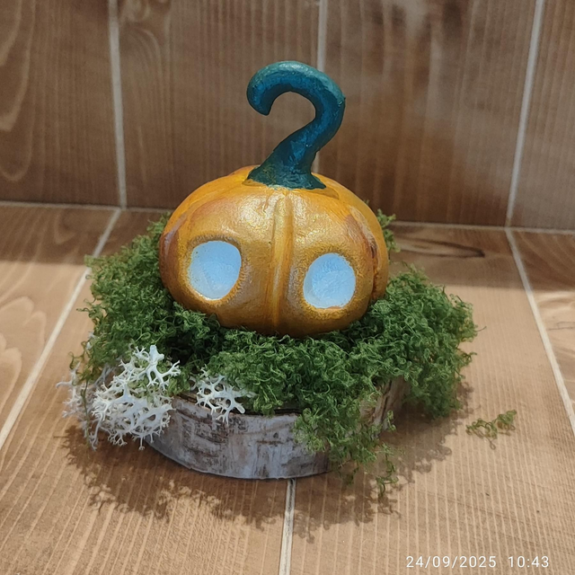 Darumas Courge #2