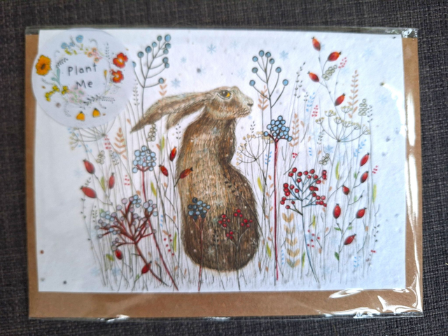 Seed greeting card - hare (horizontal)