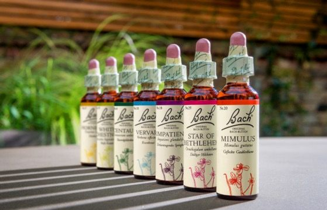 Bachblüten (persönliche Mischung)