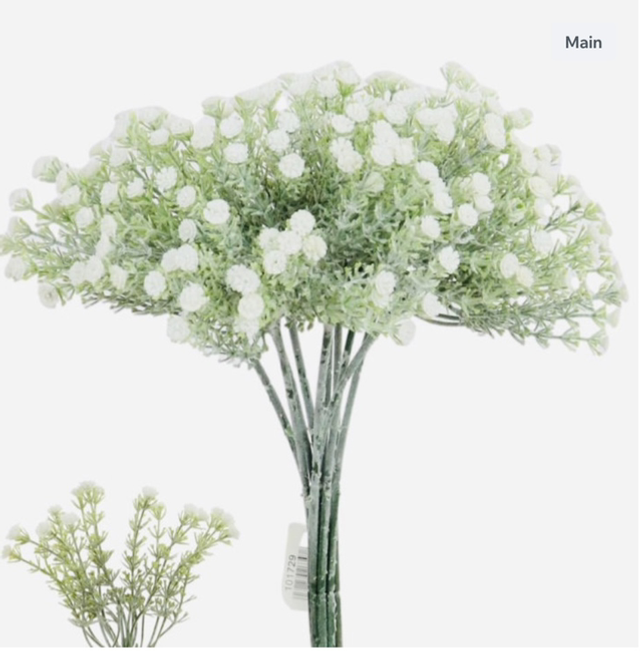 Wild Dusted Gyp x10 Sprigs