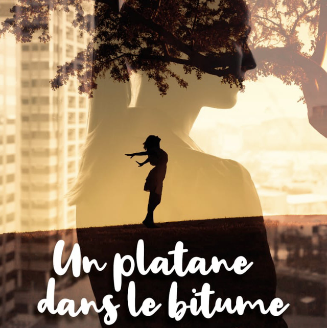 Un platane dans le bitume