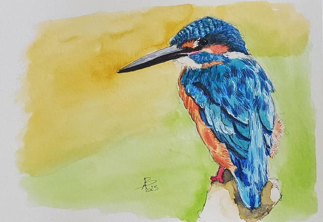 [1897] Martin-pêcheur