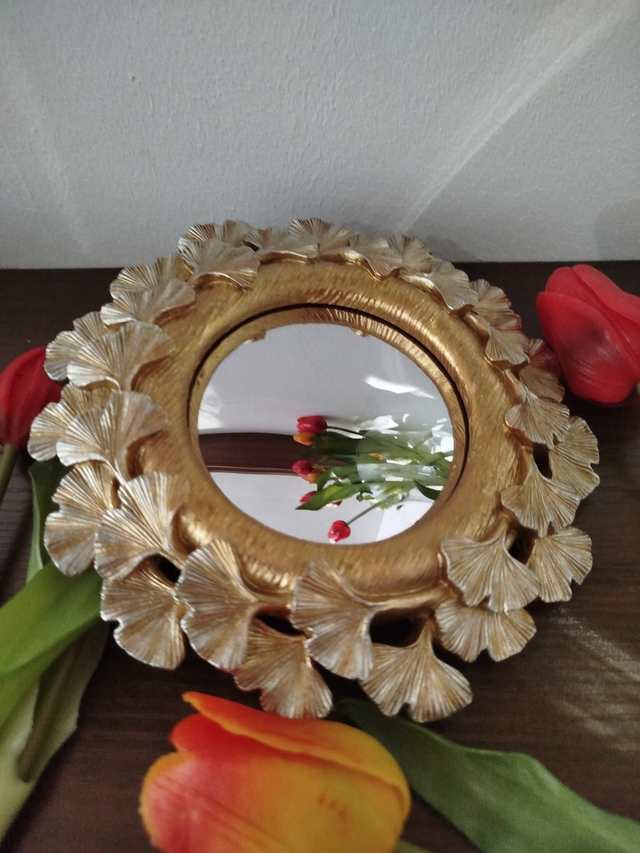 🍃 Miroir Ginkgo – Mémoire du vivant
