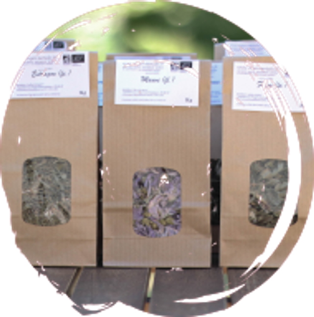 Menthe poivrée (fe.) sachet de 15 g