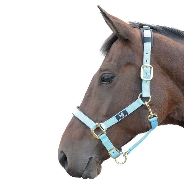 HY Deluxe Padded Head Collar BABY BLUE