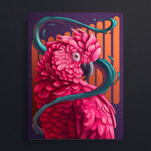 #0816 Perroquet Rose  - ILLUS - PRINT - Digital painting