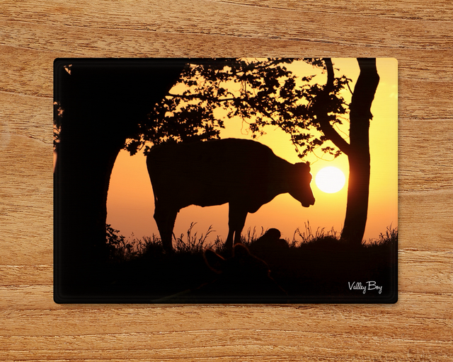 "Moovelous" Glass Worktop Saver  