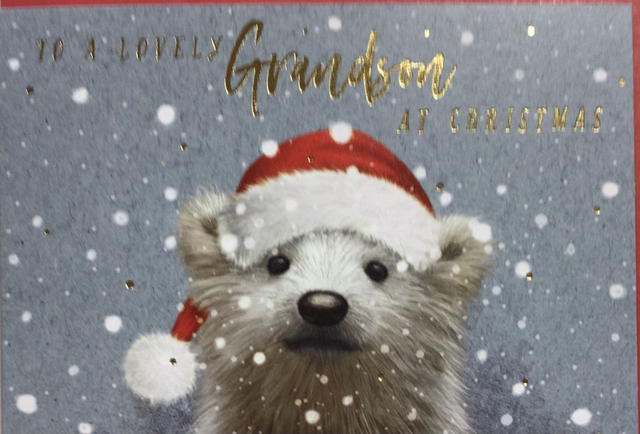 Christmas Grandson (Polar Bear) GB