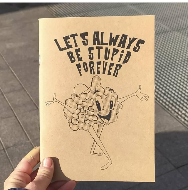 LLIBRETA STUPID THINGS