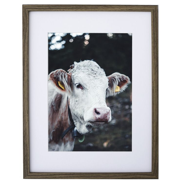 Vache &#039;Marguerite&#039; - Faune