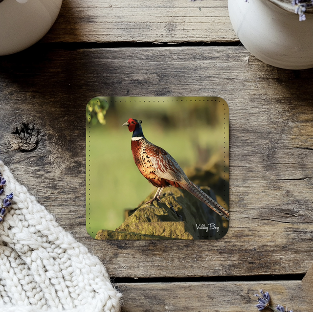 “Rufus at Dawn” Coaster  