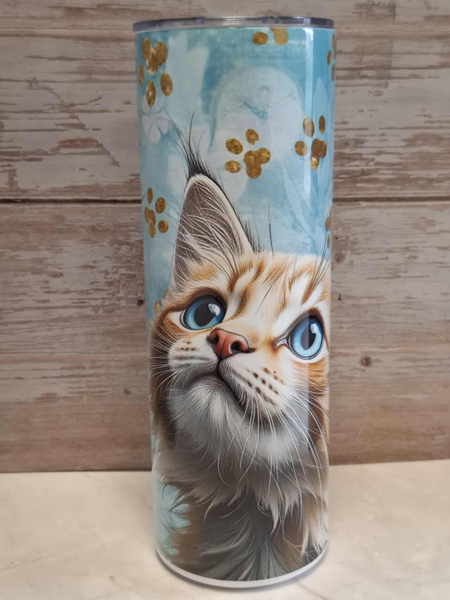 Gourde canette Maine coon