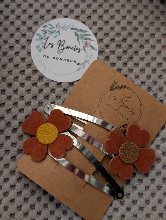 Barrette b029
