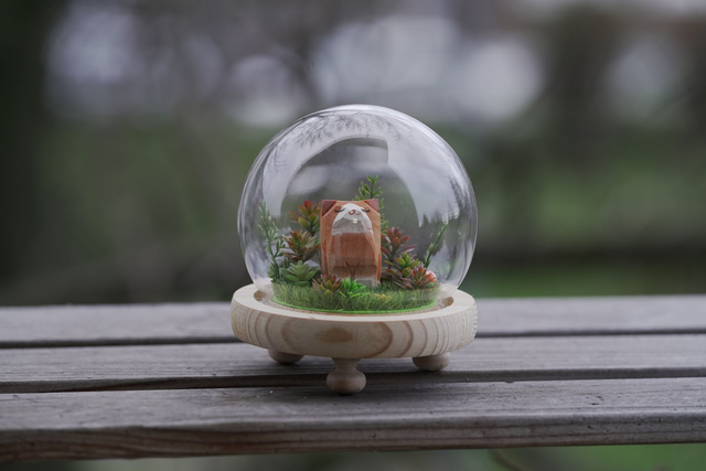 DIORAMA - Zrzavá kočka