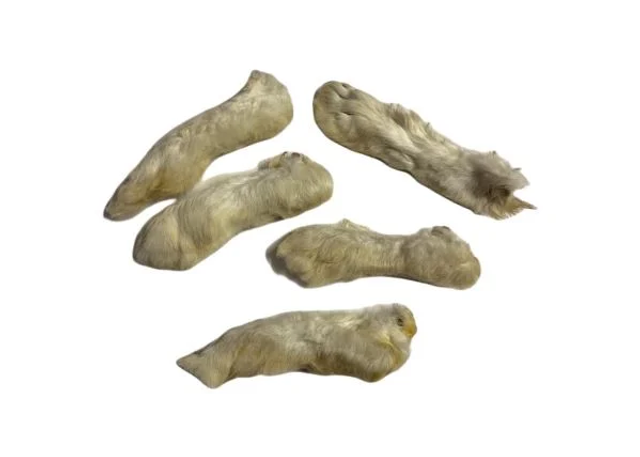 Rabbit Feet