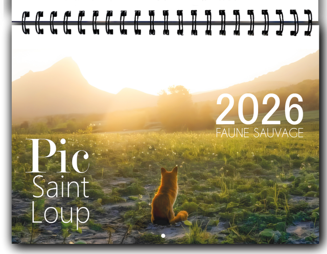 CALENDRIER 2026 FAUNE SAUVAGE DU PIC SAINT-LOUP