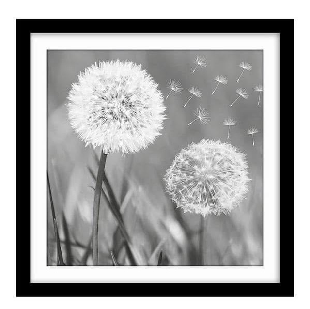 Arthouse Dandelion Framed Print