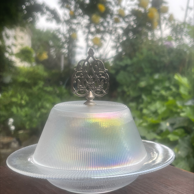 Käseglocke/ Deckeldose Glas irisierend mit Ornamenten Griff 