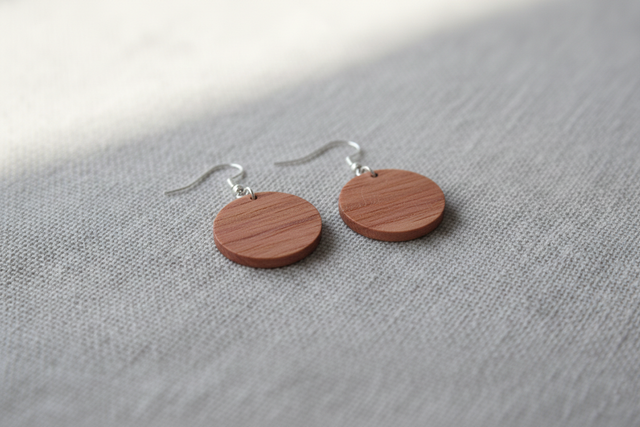 BOUCLE D'OREILLE N°30 : Rond