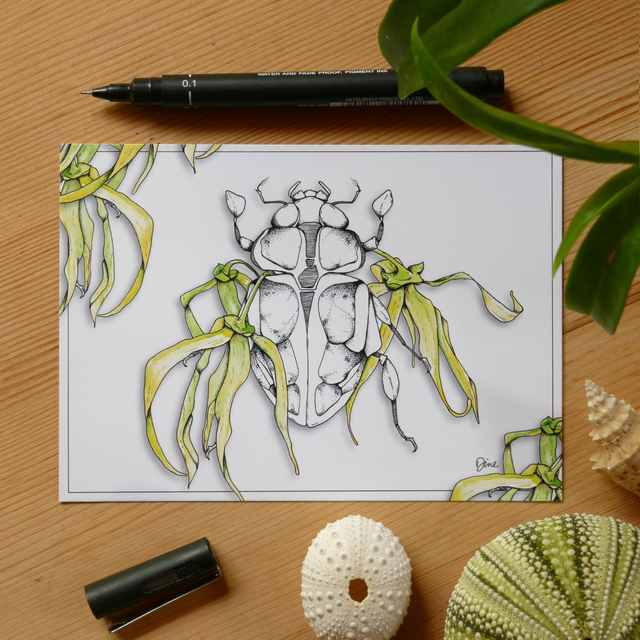 CARTE POSTALE – Ylang