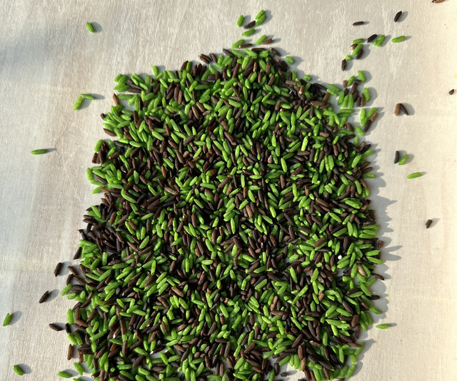 Speelrijst | herfstmix