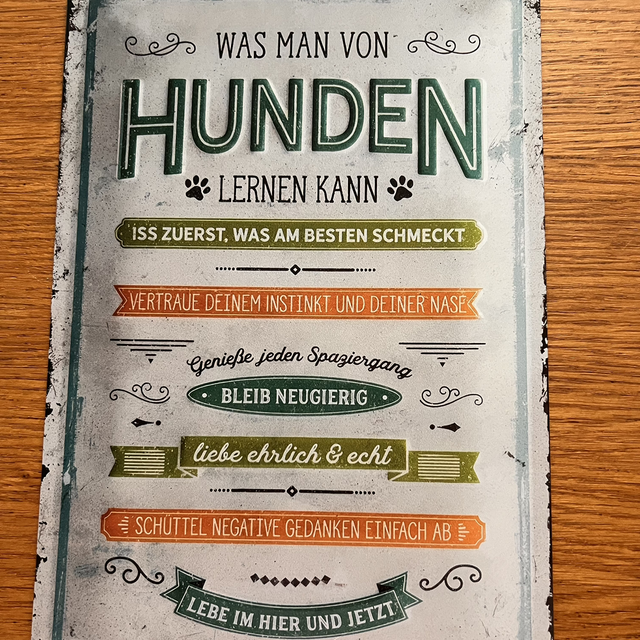 Was man von Hunden