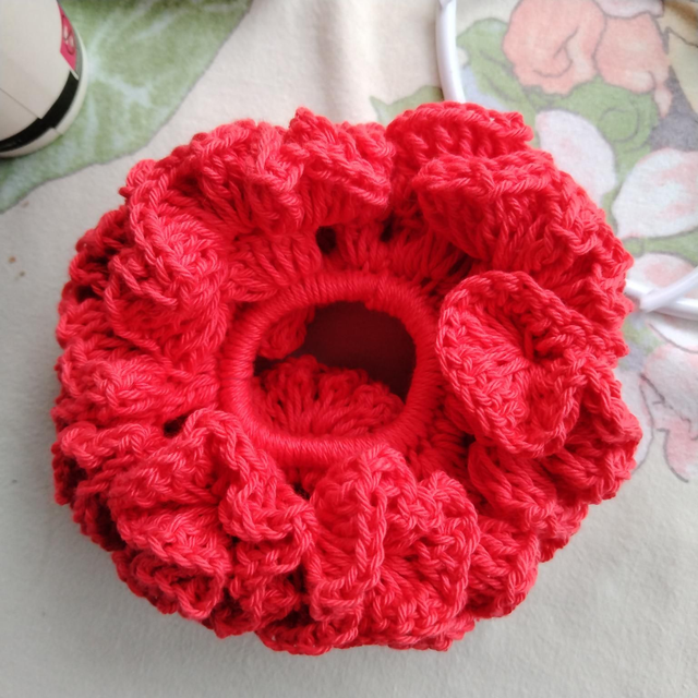 2025 CHOUCHOU CHEVEUX 