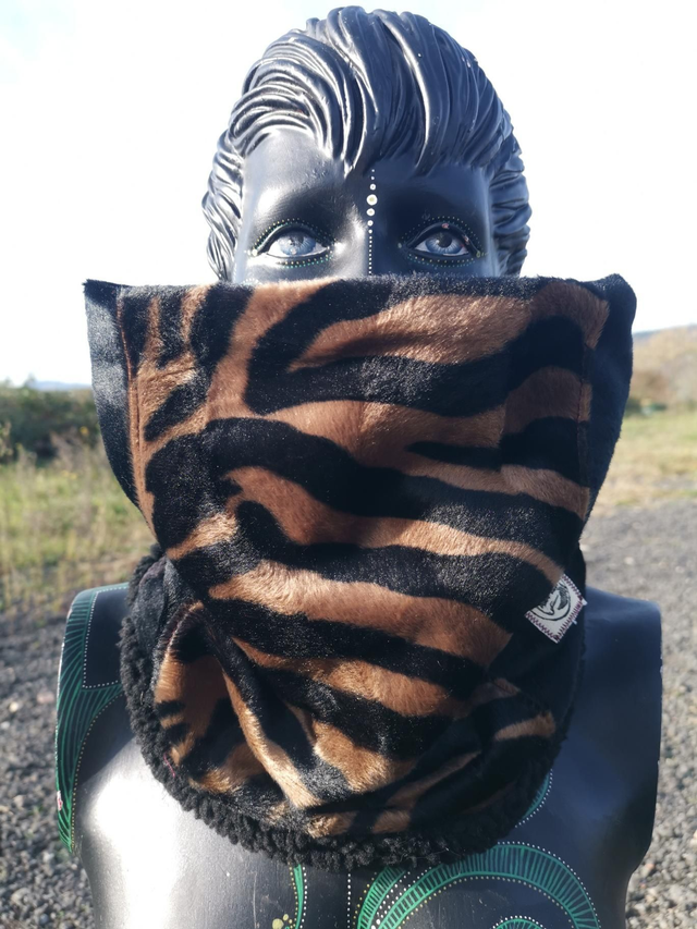 Snood zebre