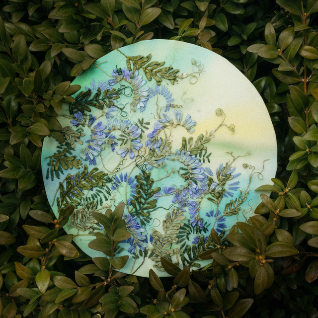 BIRD VETCH | Botanical Study 