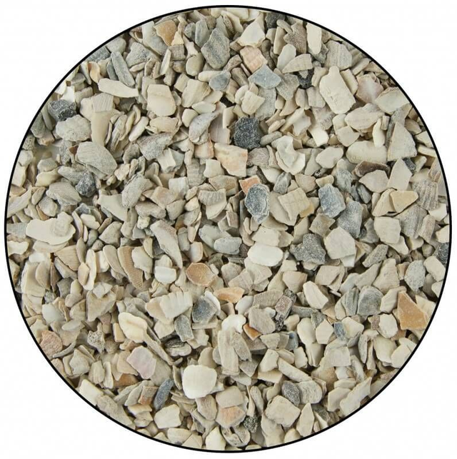 Coquilles d’Huîtres – Coustenoble