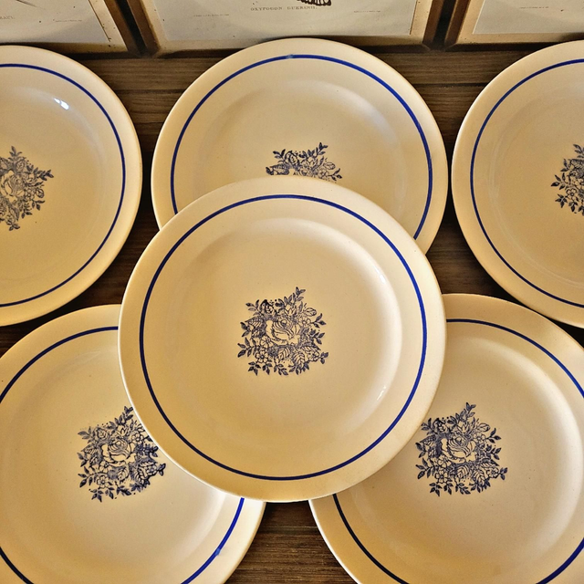 X Assiettes plates vintage faïence ADP, motifs de roses couleur bleu