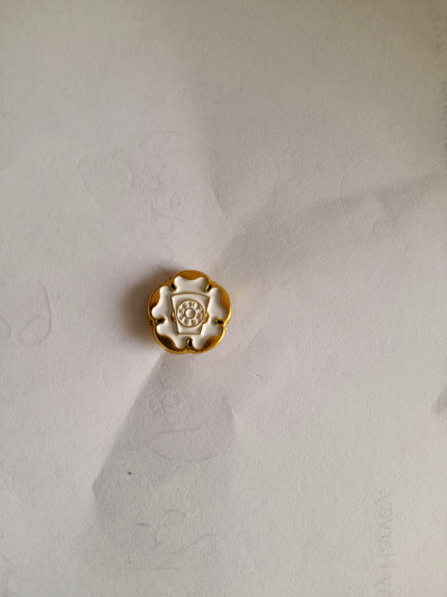 6. Lapel Pin
