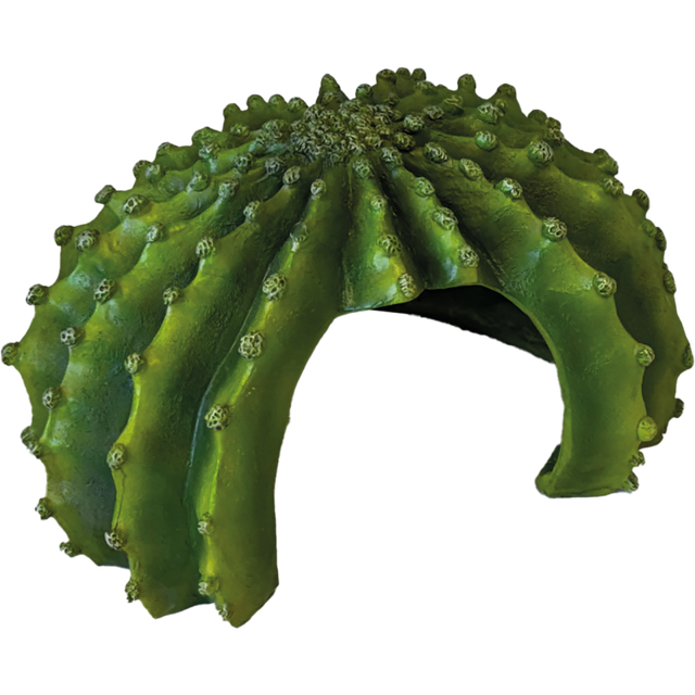 Repto Deco Cactus XL – Cachette pour reptile