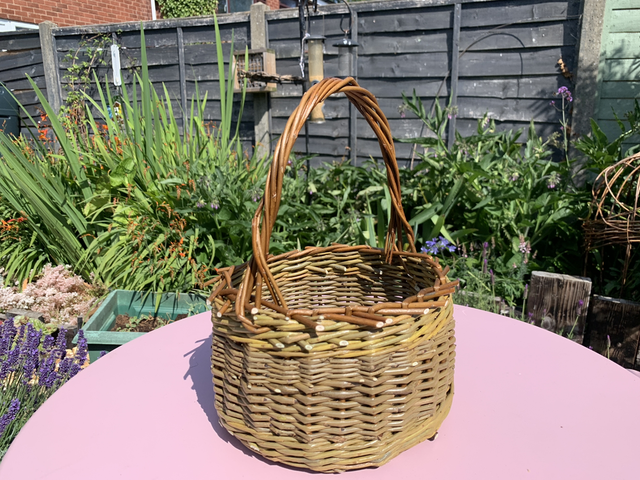 Berry Basket Course 24/10/26  9:30 -3:30 