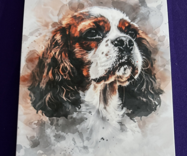 Plain Note Pad Dog Spaniel