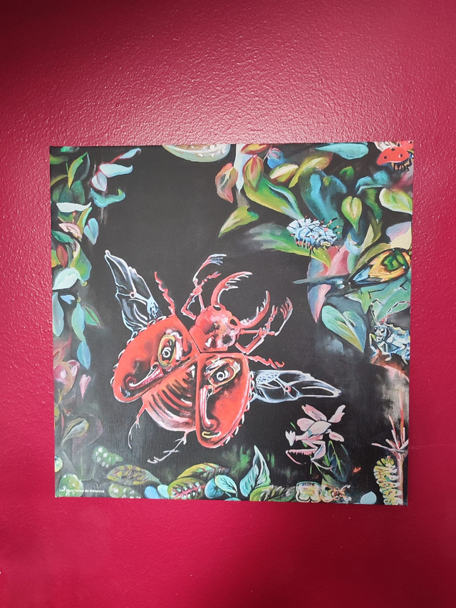 Impression sur toile 30*30cm "Scarabée"